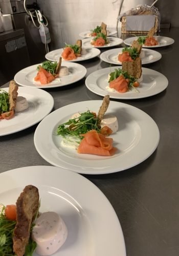 Salmon